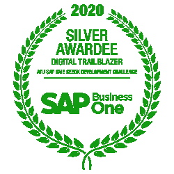 SAP Business One Partner Silver Awardee banner