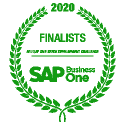 SAP Business One Partner Finalist award banner
