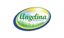 direcbusiness-client-angelinabakeshop
